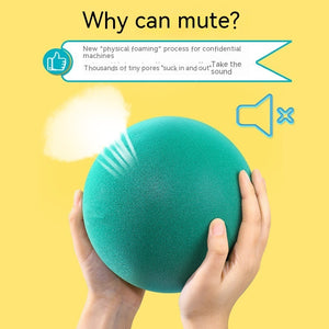 Silent Basketball β Noise-Free Indoor Play | Large & Medium Size - PrimaFit